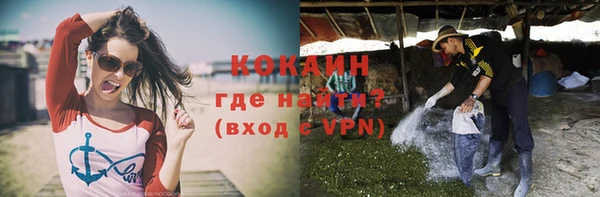 шишки Арсеньев