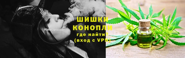 шишки Арсеньев