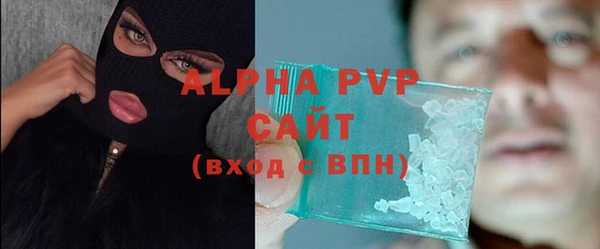 шишки Арсеньев