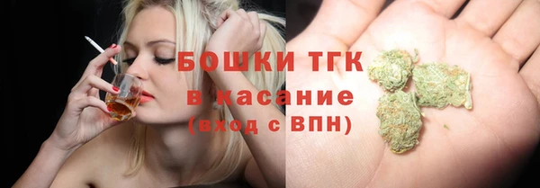 шишки Арсеньев