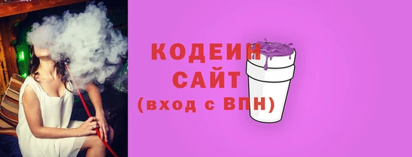 шишки Арсеньев