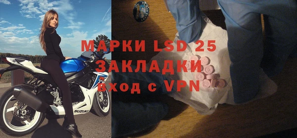 шишки Арсеньев