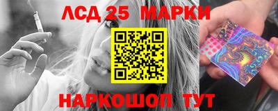 PSILOCYBIN Камышлов