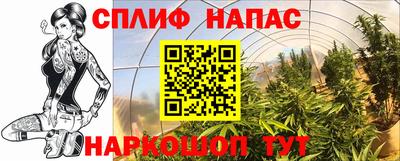 PSILOCYBIN Камышлов