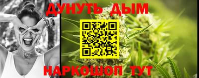 PSILOCYBIN Камышлов